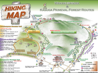 Wakakusayama & Kasugayama <br>Primeval Forest Routes