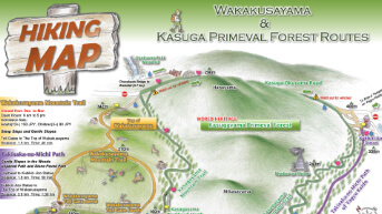 Wakakusayama & Kasugayama <br>Primeval Forest Routes